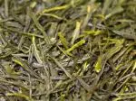 Sencha Tensu cropped