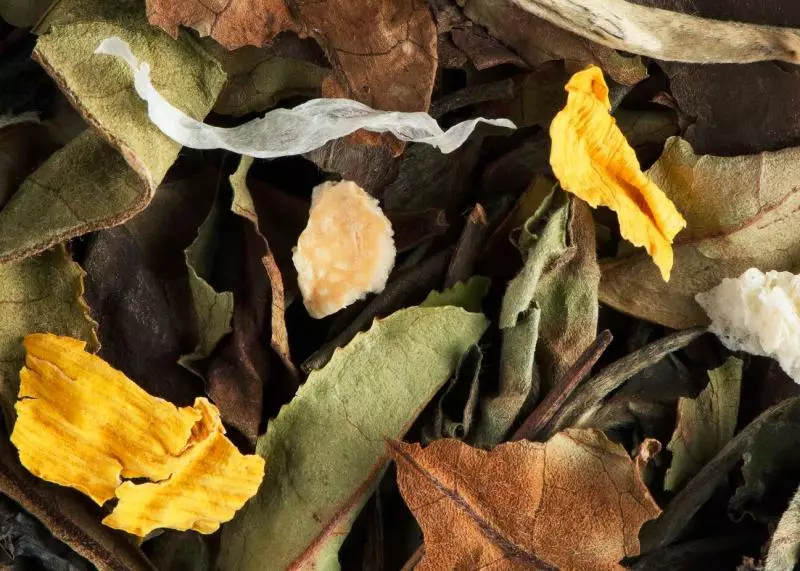 bella blanca leaf image