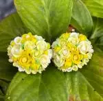 Yellow Bouquet 