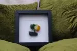 Tri Colour