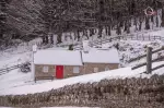 Irish winter