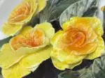 Yellow Roses